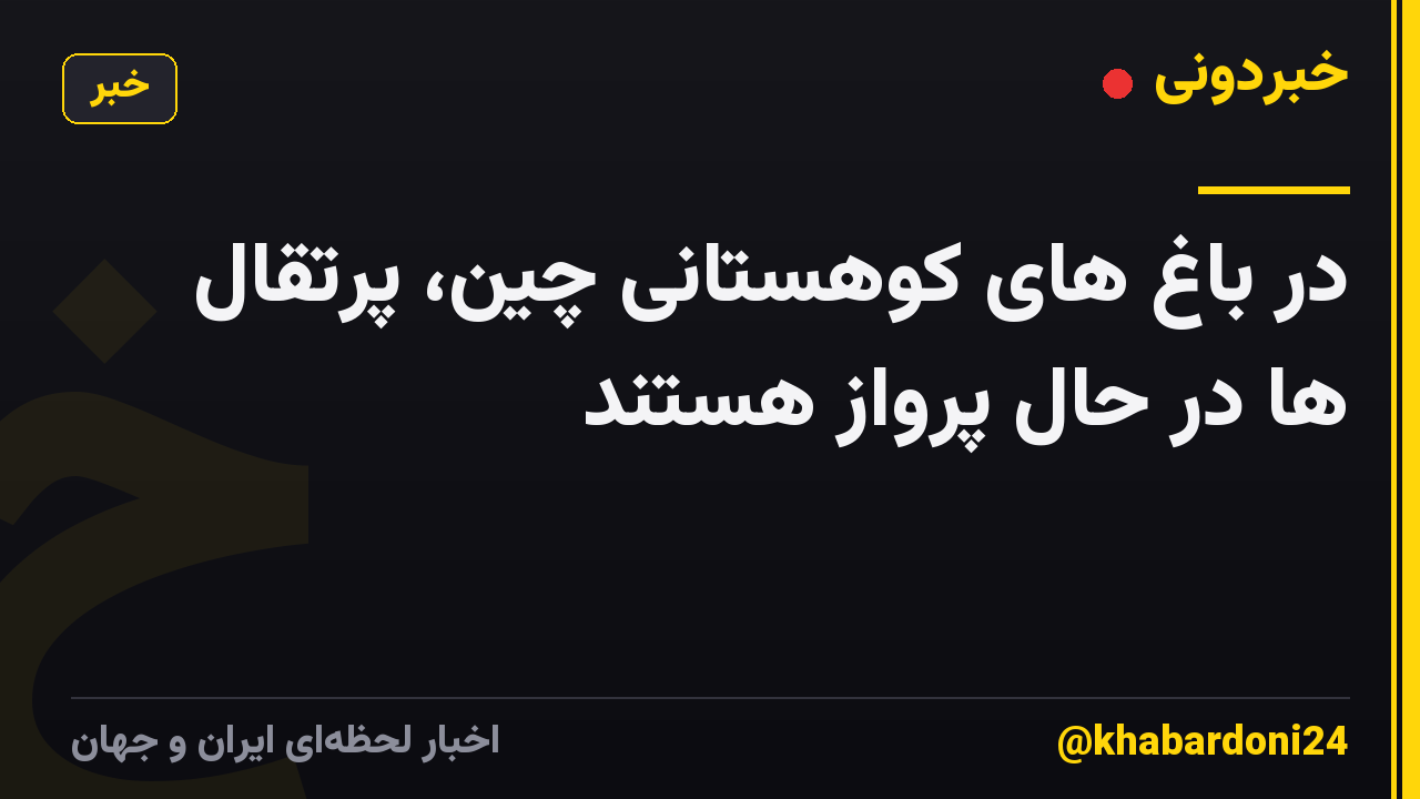در باغ های کوهستانی چین، پرتقال ها در حال پرواز هستند