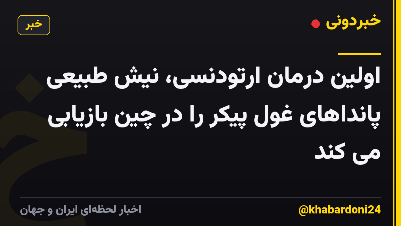 اولین درمان ارتودنسی، نیش طبیعی پانداهای غول پیکر را در چین بازیابی می کند