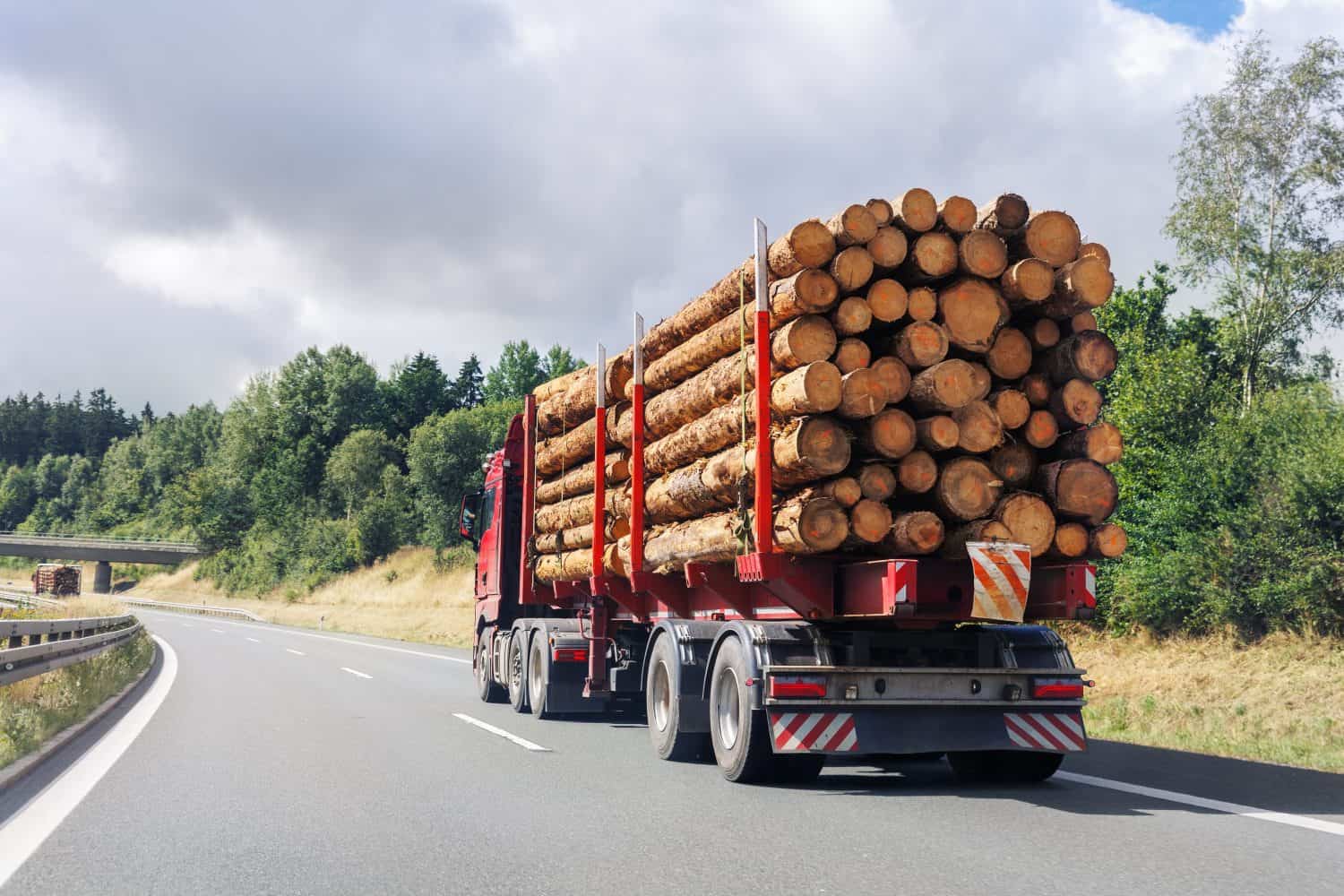 قیمت خمیر چوب جنوبی 46 درصد از اوج خود کاهش یافته است. در 63 سالگی، چوب ایستاده میتواند به پلی برای بررسی امنیت اجتماعی بزرگتر تبدیل شود.