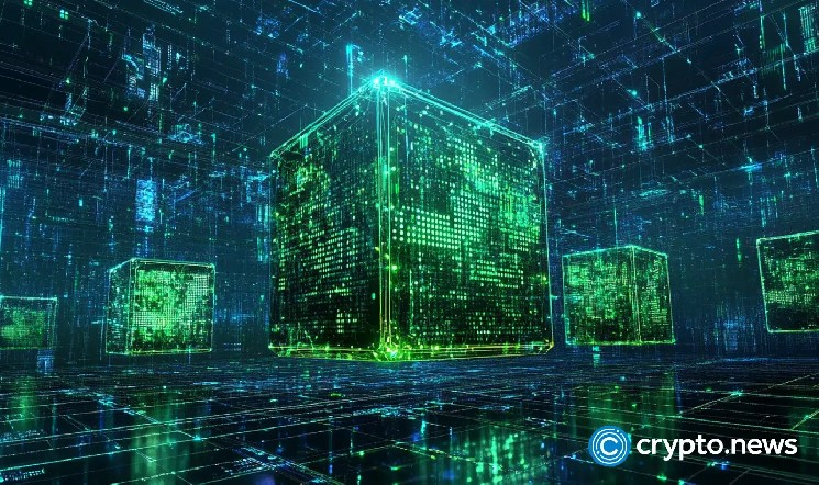 MultiversX مشکل بالقوه شبکه اصلی را بررسی می کند