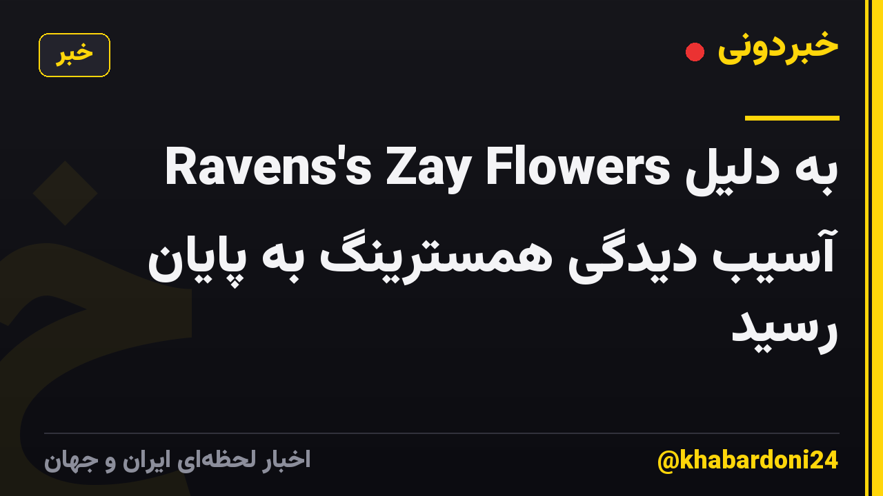 Ravens's Zay Flowers به دلیل آسیب دیدگی همسترینگ به پایان رسید