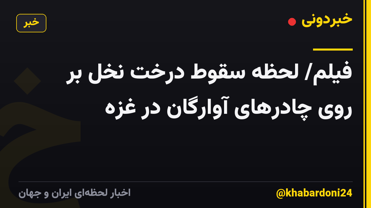 فیلم/ لحظه سقوط درخت نخل بر روی چادرهای آوارگان در غزه