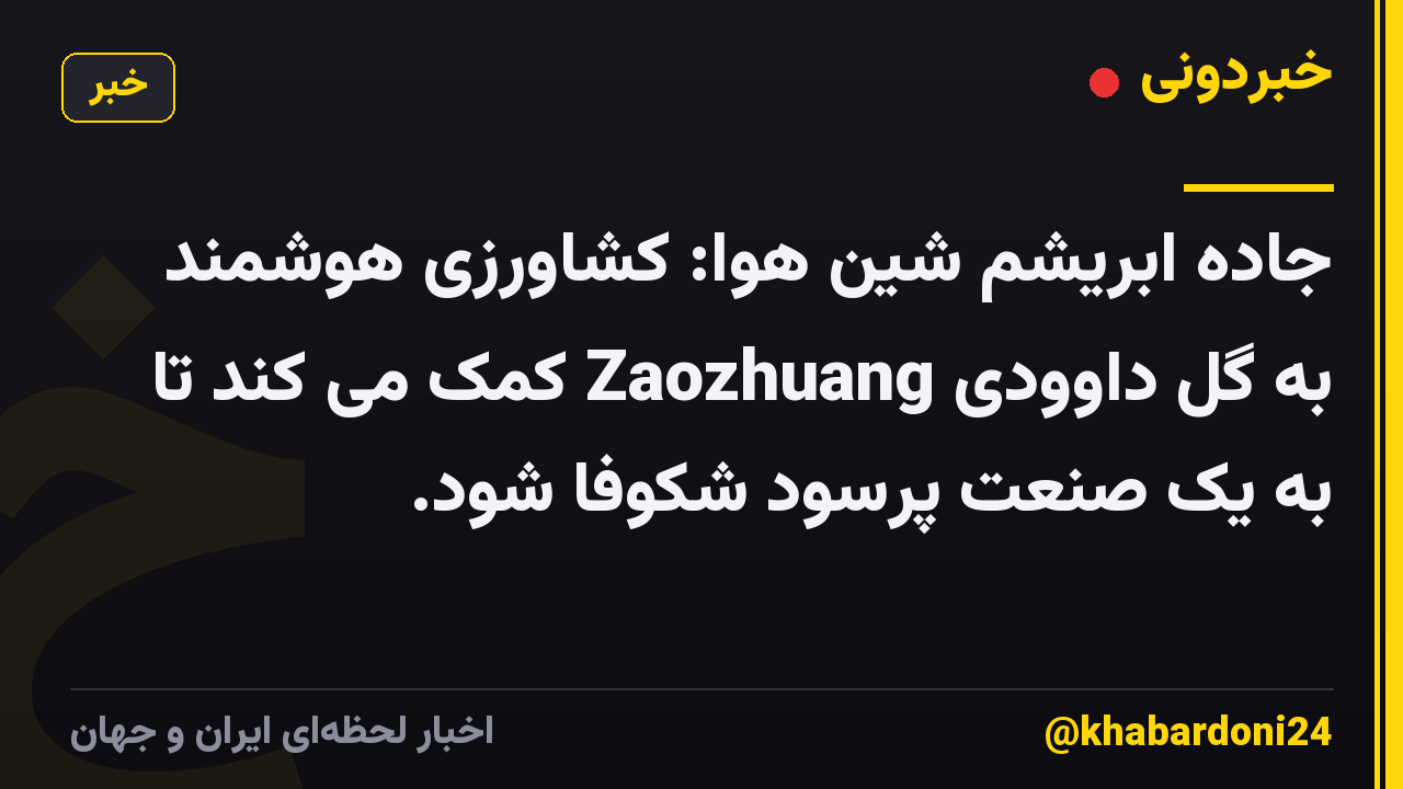 جاده ابریشم شین هوا: کشاورزی هوشمند به گل داوودی Zaozhuang کمک می کند تا به یک صنعت پرسود شکوفا شود.