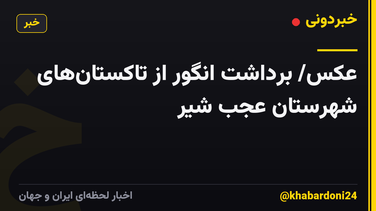 عکس/ برداشت انگور از تاکستان‌های شهرستان عجب شیر