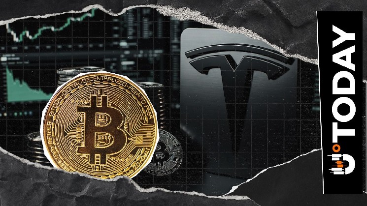 بیت کوین فلیپس تسلا، سامسونگ در بازار سرمایه