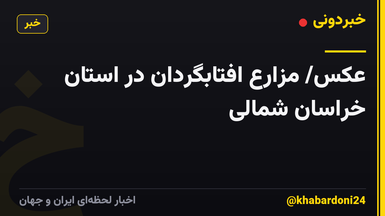 عکس/ مزارع افتابگردان در استان خراسان شمالی