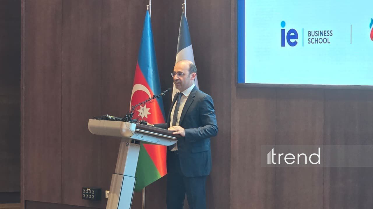 کیفیت رهبری، رقابت پذیری شرکت ها را تعیین می کند - مدیر عامل هلدینگ پاشا