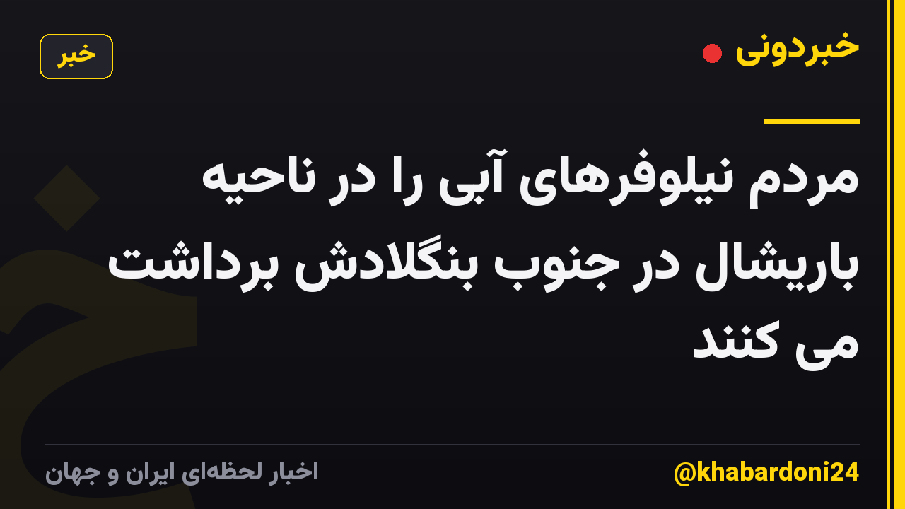 مردم نیلوفرهای آبی را در ناحیه باریشال در جنوب بنگلادش برداشت می کنند