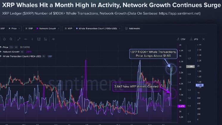 XRP از 1.60 دلار به بالاترین سطح ماهانه 1917 تراکنش نهنگ رسید