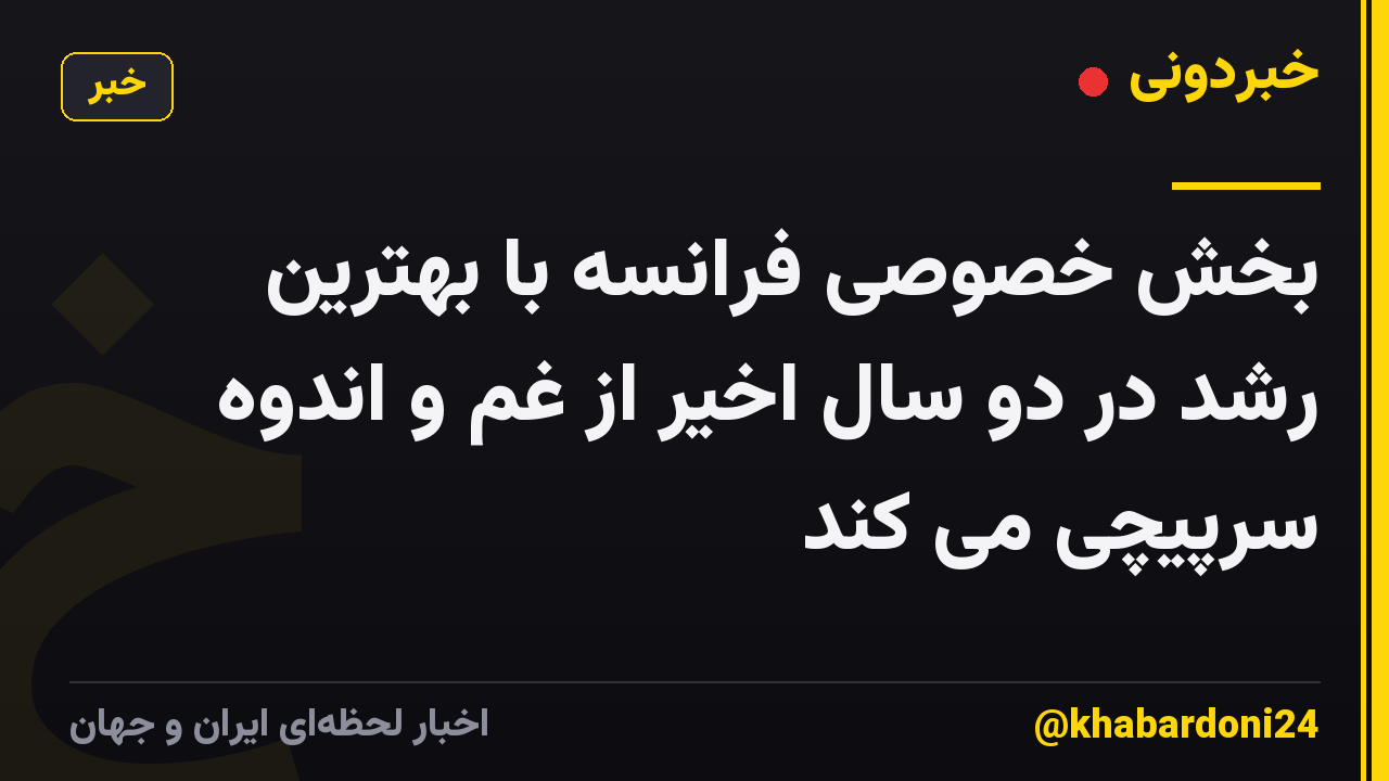 بخش خصوصی فرانسه با بهترین رشد در دو سال اخیر از غم و اندوه سرپیچی می کند