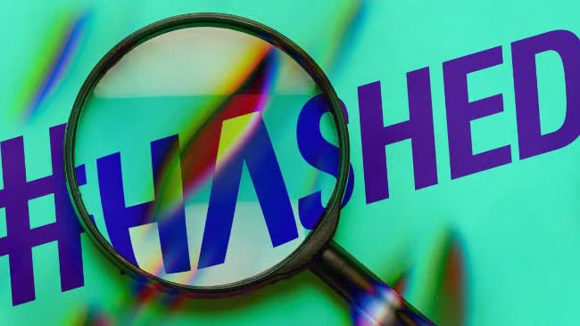 Crypto VC Hashed صندوق اعتباری خصوصی دارایی دیجیتال جدید را با هدف 300 میلیون دلار لنگر میاندازد