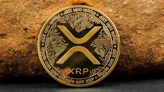 Coinbase تقاضای صعودی شدید در گزینه های XRP دارد