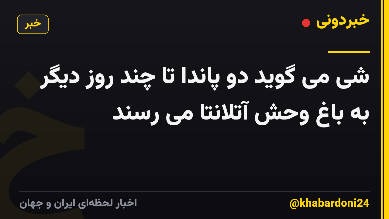 شی می گوید دو پاندا تا چند روز دیگر به باغ وحش آتلانتا می رسند