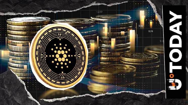 Cardano از کتابخانه بومی جدید برای Python، Go، Rust و JavaScript استقبال می کند