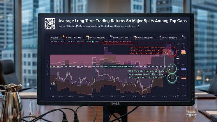 میانگین معامله گر بلندمدت XRP پس از بازگشت به بازار همچنان 11.75 درصد کاهش یافته است.
