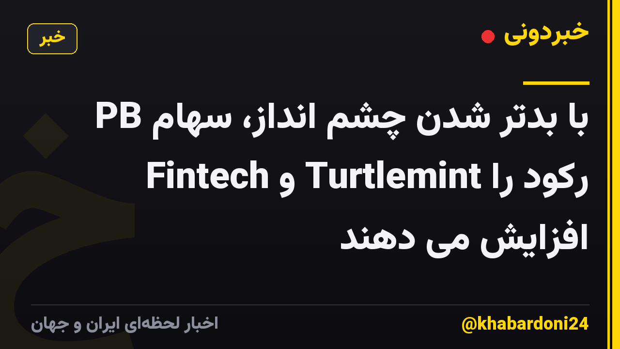 با بدتر شدن چشم انداز، سهام PB Fintech و Turtlemint رکود را افزایش می دهند