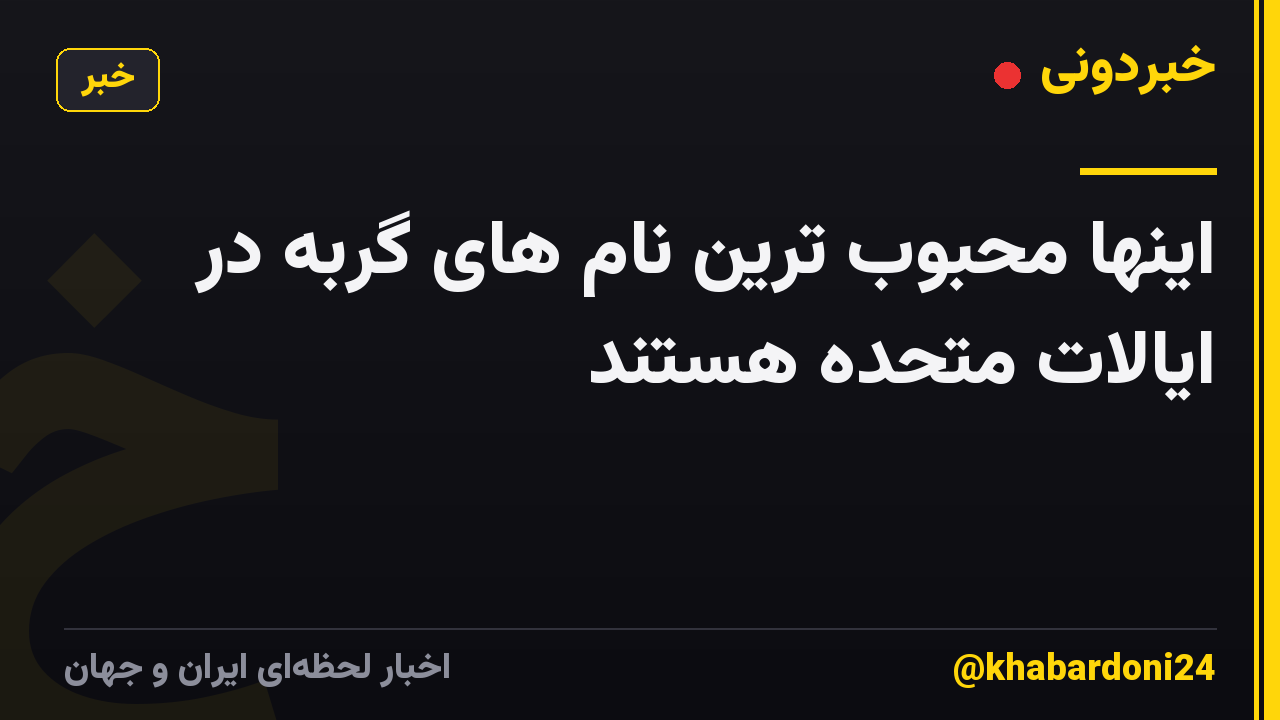 اینها محبوب ترین نام های گربه در ایالات متحده هستند