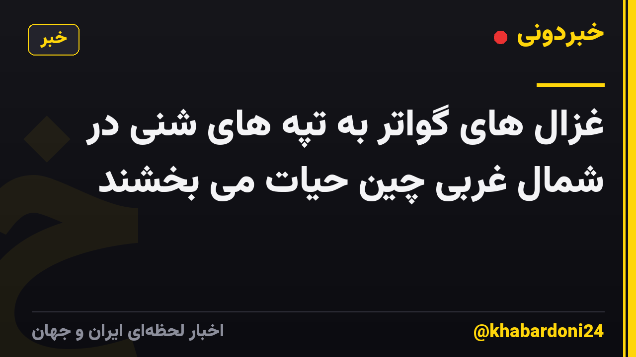 غزال های گواتر به تپه های شنی در شمال غربی چین حیات می بخشند