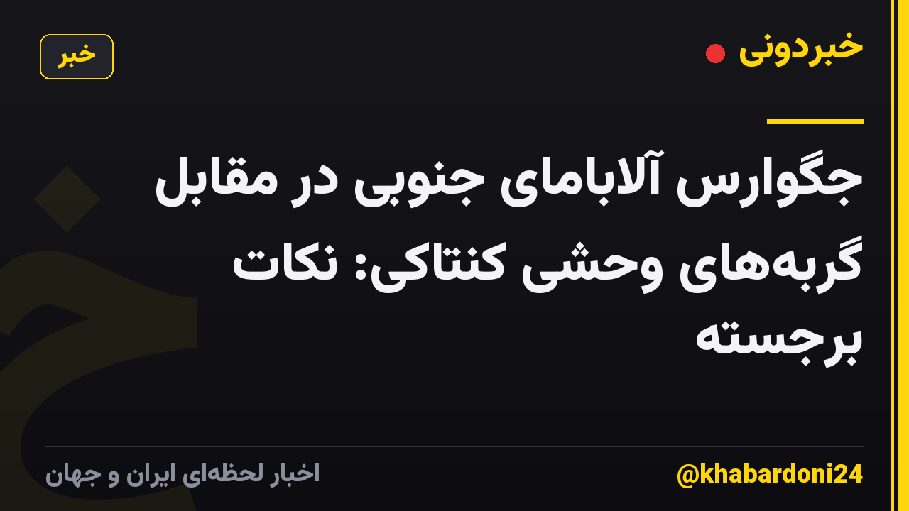 جگوارس آلابامای جنوبی در مقابل گربه‌های وحشی کنتاکی: نکات برجسته