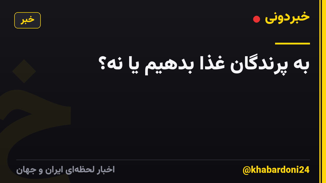 به پرندگان غذا بدهیم یا نه؟