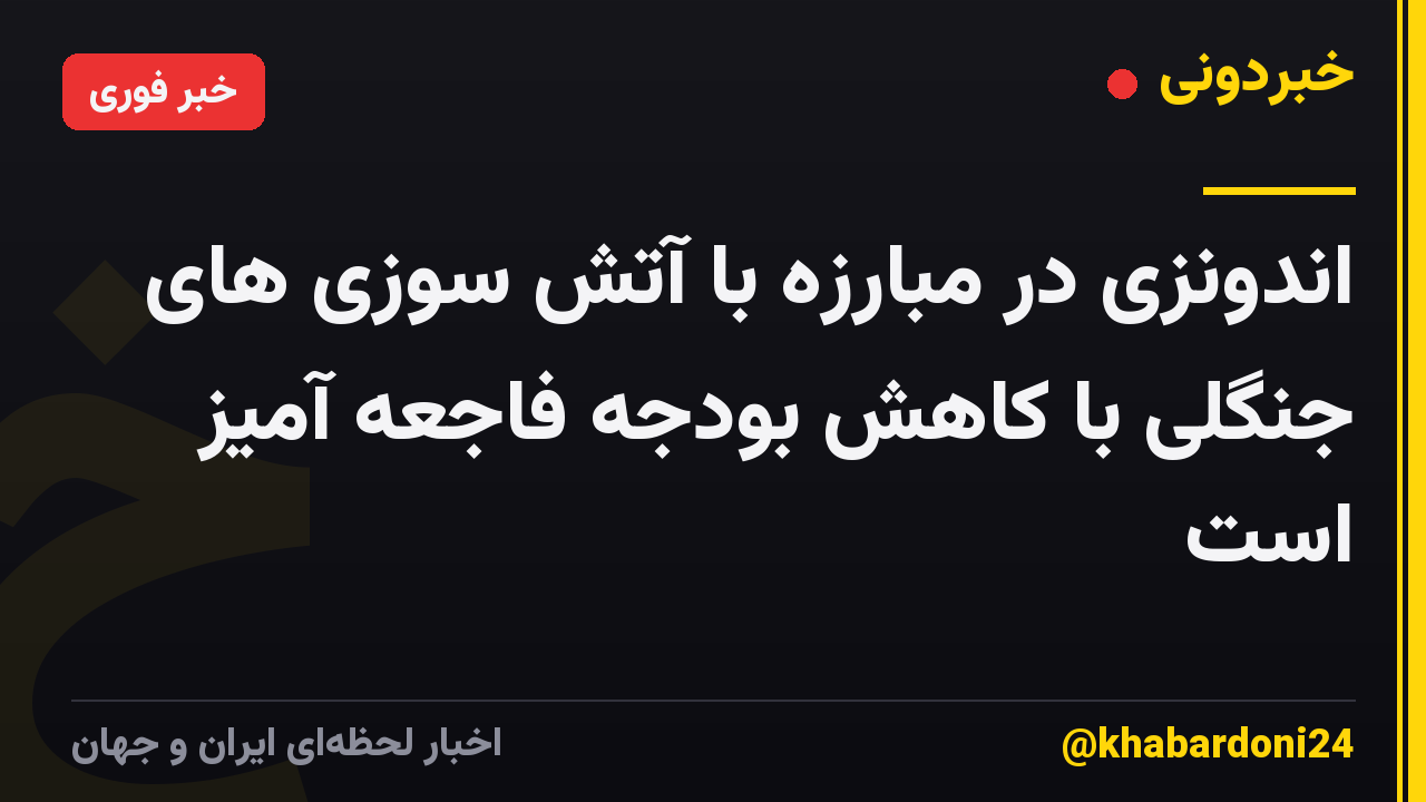 اندونزی در مبارزه با آتش سوزی های جنگلی با کاهش بودجه فاجعه آمیز است