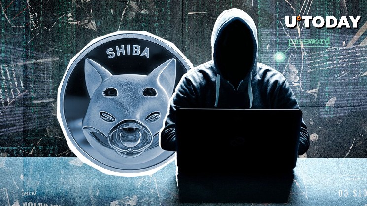 توسعهدهنده Shiba Inu در میان گمانهزنیهای Shibarium سکوت چند ماههای را میشکند