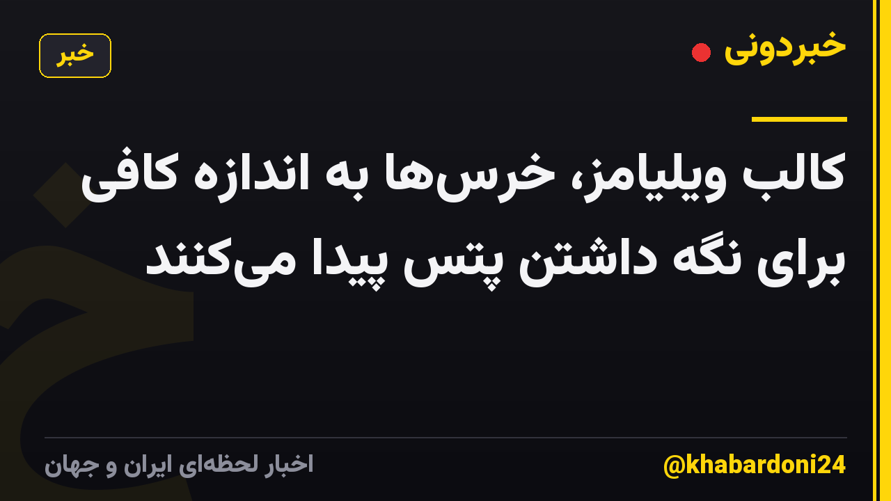 کالب ویلیامز، خرس‌ها به اندازه کافی برای نگه داشتن پتس پیدا می‌کنند